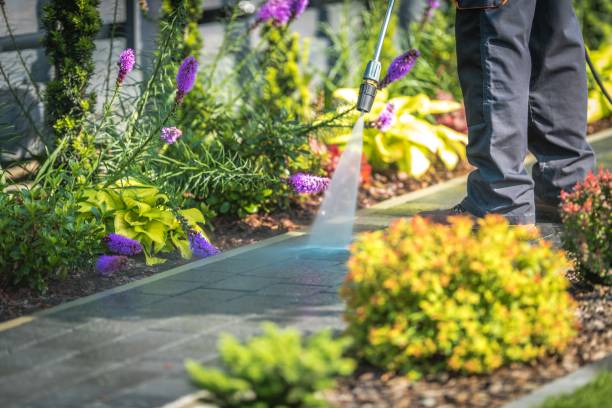 Best Sidewalk and Walkway Cleaning  in Deep River Center, CT